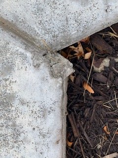 Photo of Mattingly Concrete