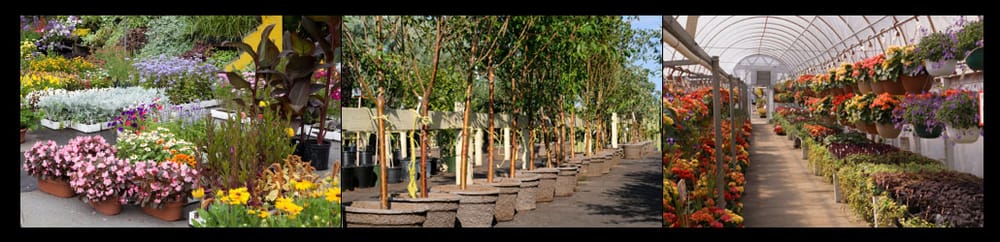 Photo of H & R Landscaping