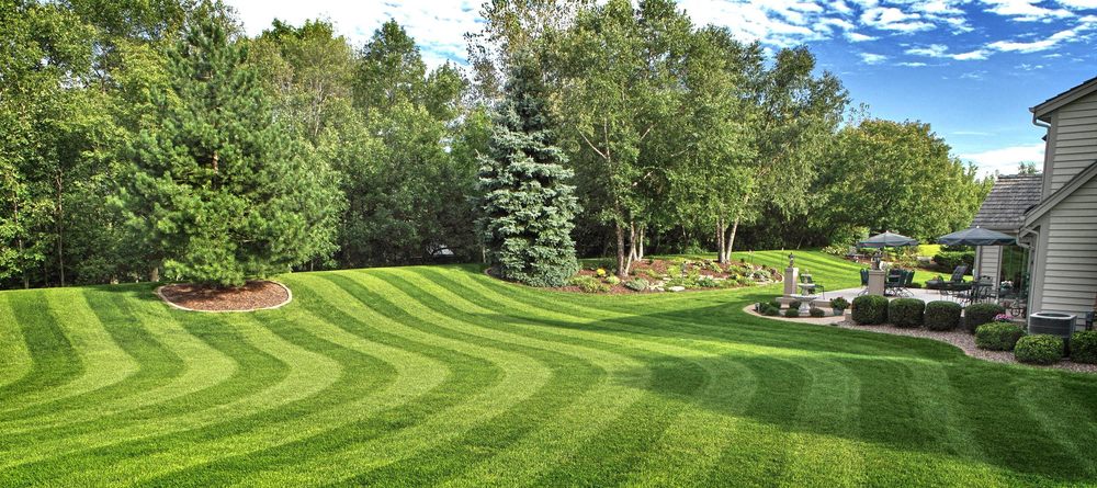 Photo of Dwayne's Landscaping and Maintenance