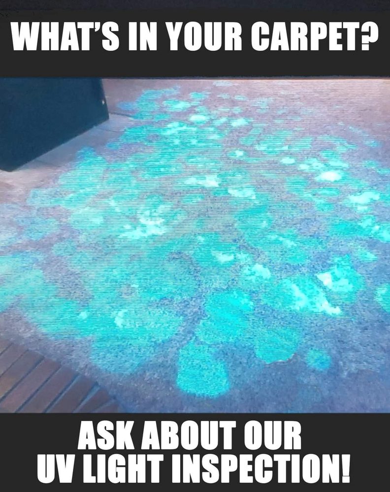 Photo of Spotless Floor Care