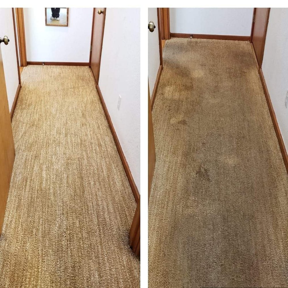 Photo of Spotless Floor Care