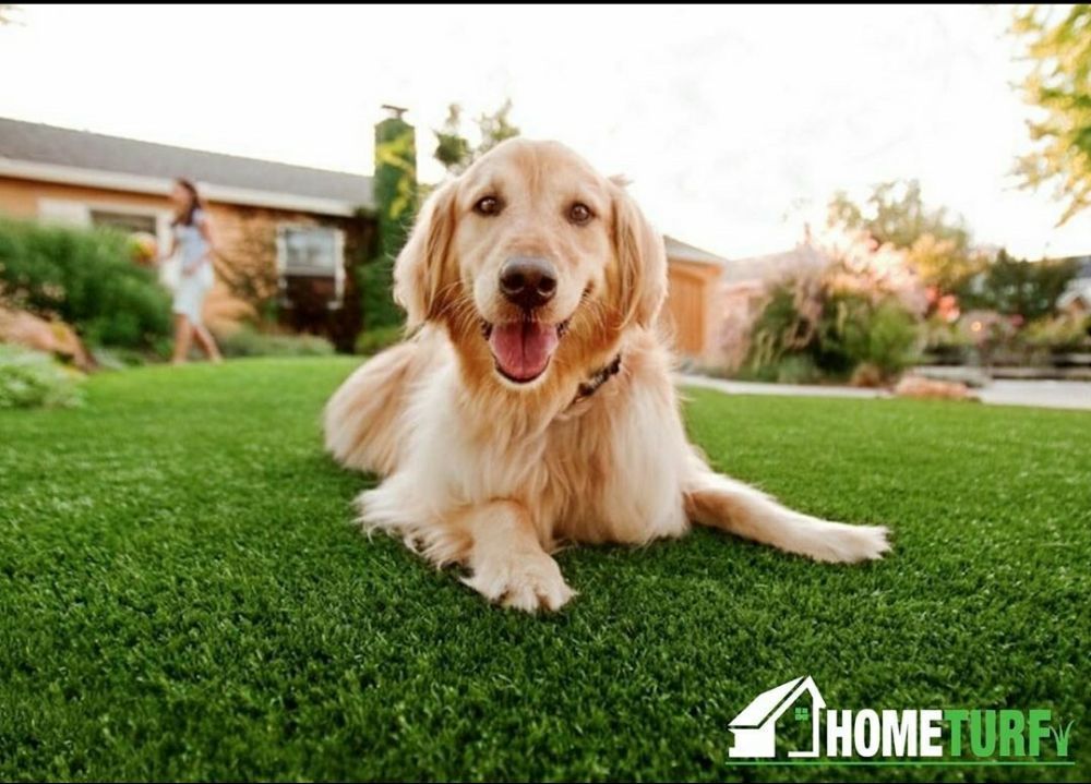 Photo of HomeTurf Synthetic Grass