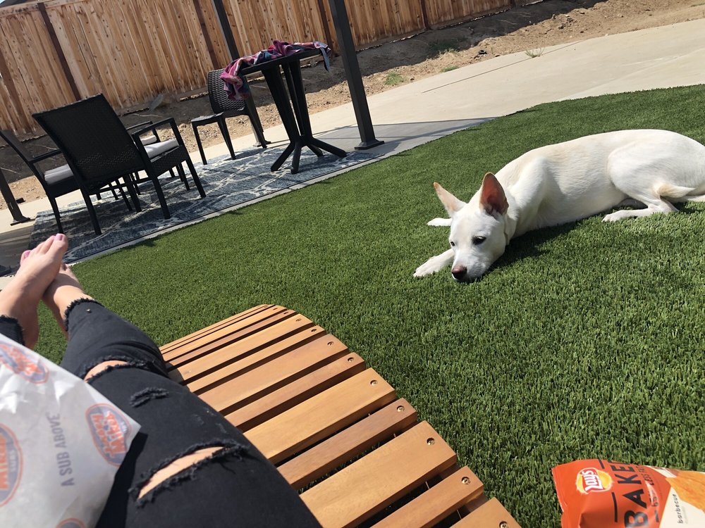 Photo of HomeTurf Synthetic Grass