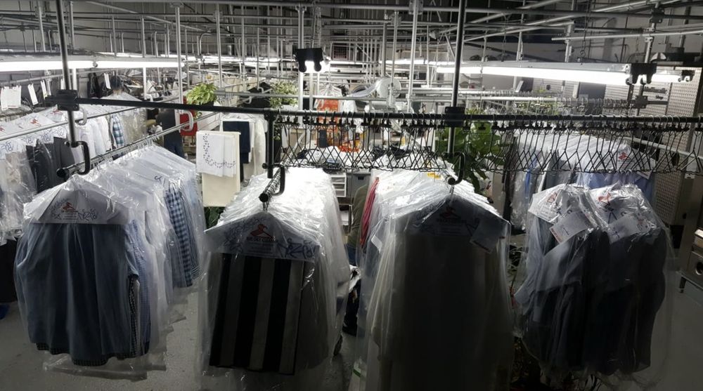Photo of The Dry Cleaner