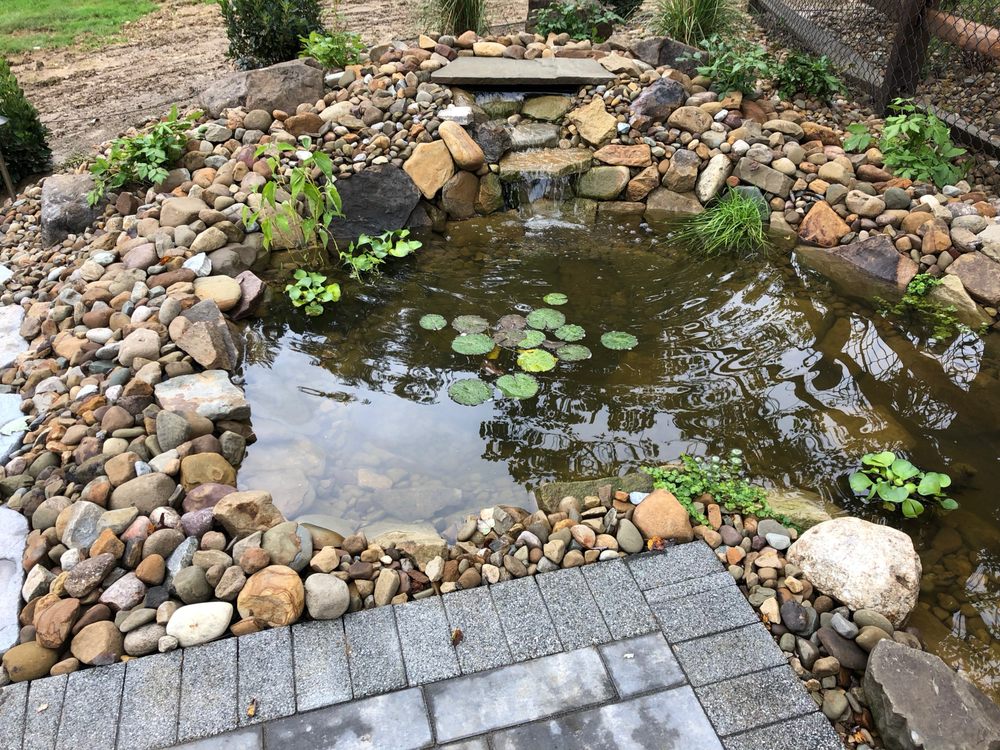 Photo of Blue Fox Landscape Design