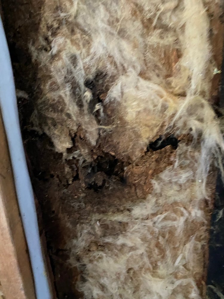 Photo of Storm Roofing