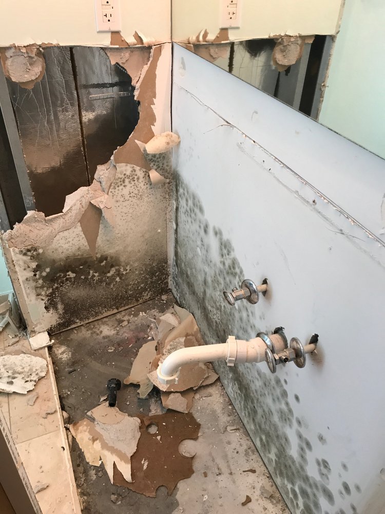 Photo of United Restoration Team