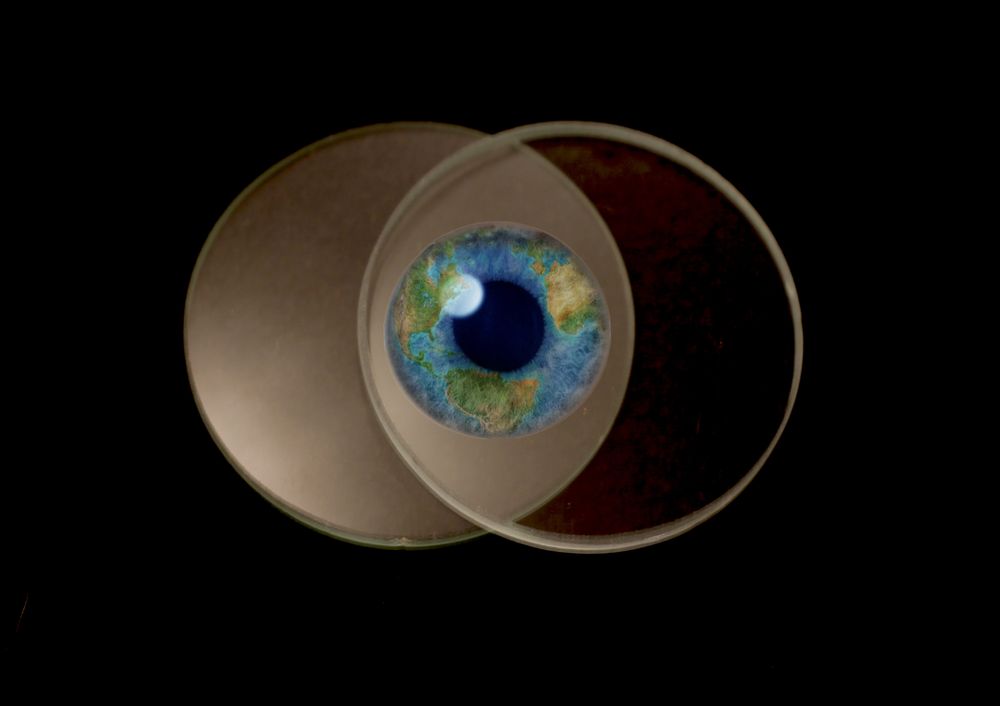 Photo of Converging Perspectives Pictures
