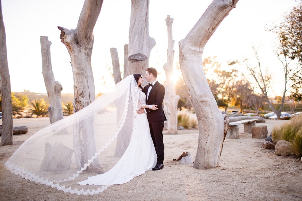 Photo of Shane Fellows Photography