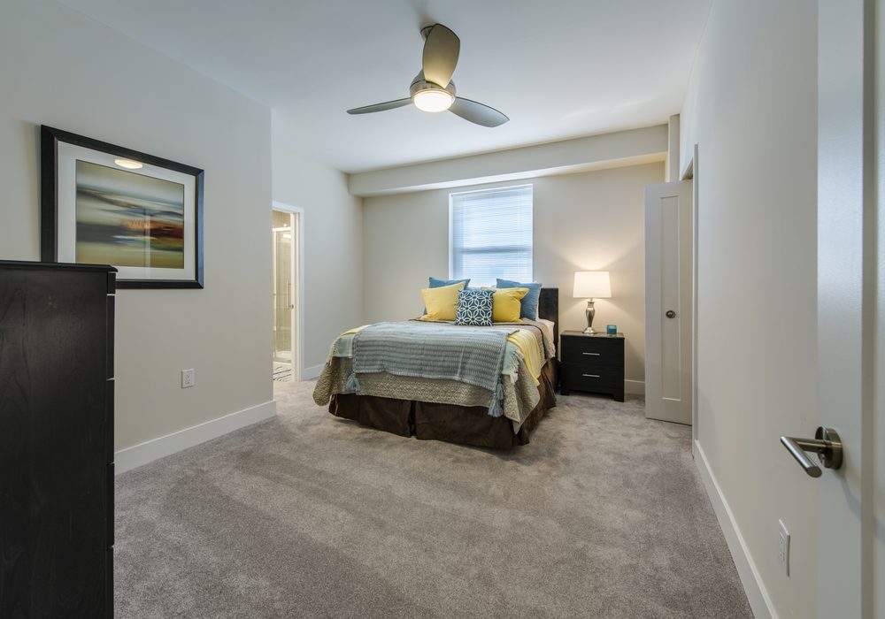 Photo of The Plaza Apartments