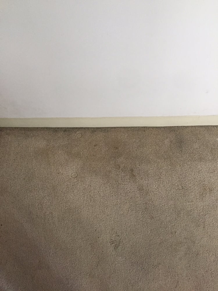 Photo of Lily's Correct Carpet and Oriental Rug Cleaning