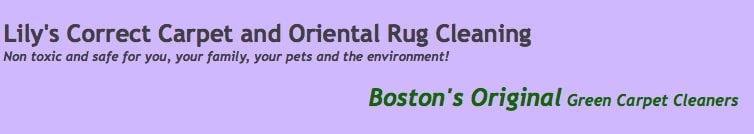 Photo of Lily's Correct Carpet and Oriental Rug Cleaning