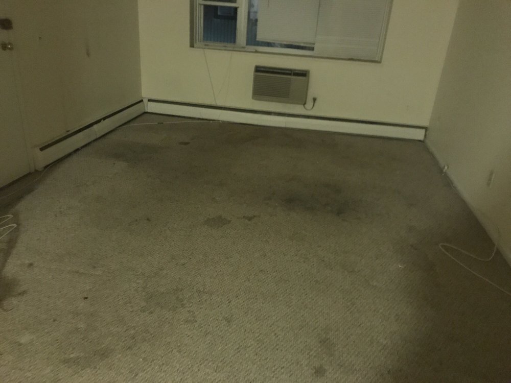 Photo of Lily's Correct Carpet and Oriental Rug Cleaning