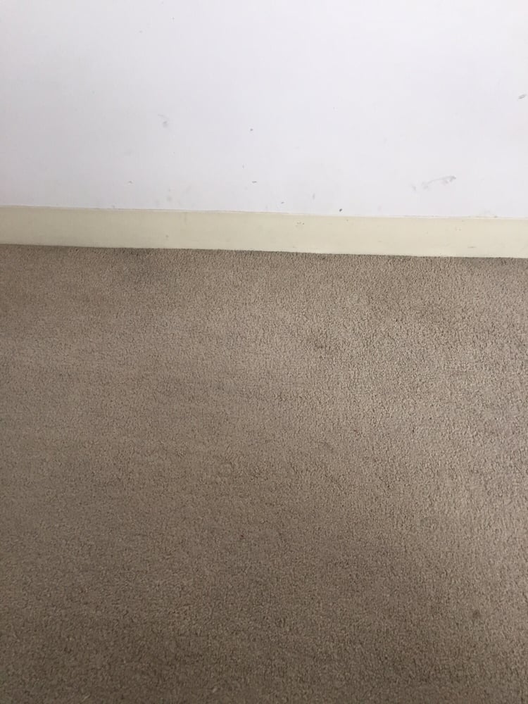 Photo of Lily's Correct Carpet and Oriental Rug Cleaning