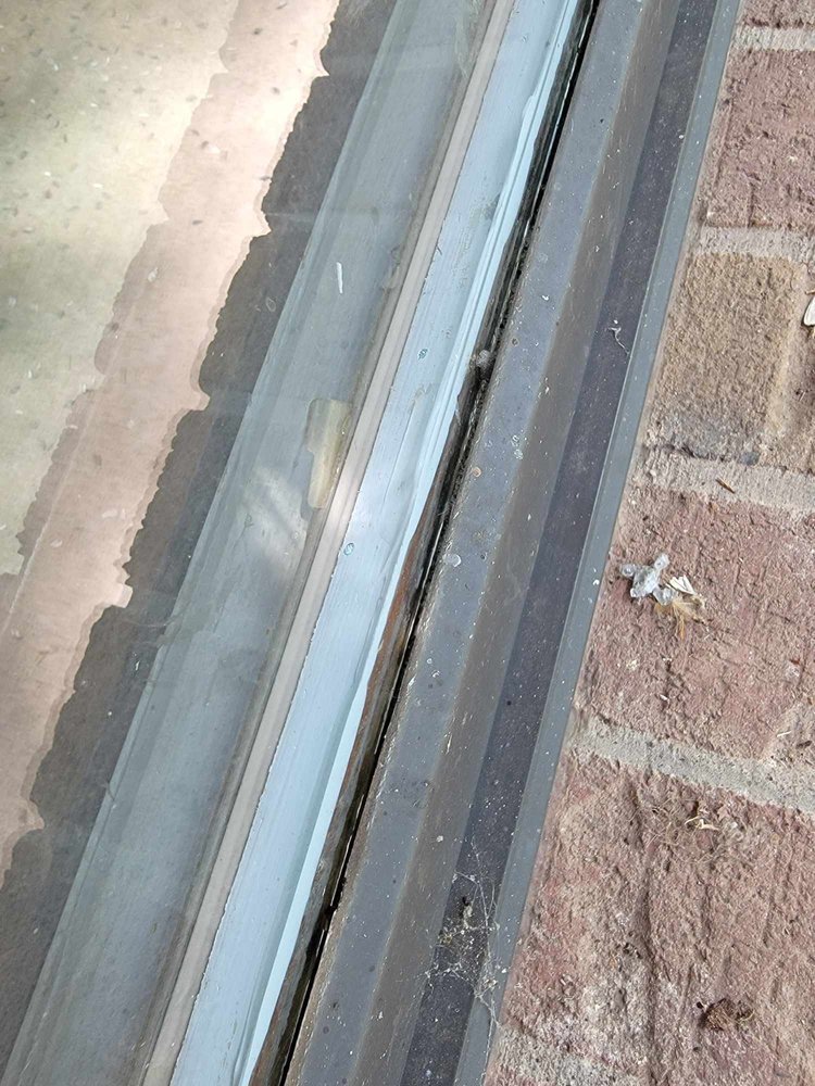 Photo of Speedy Glass Services