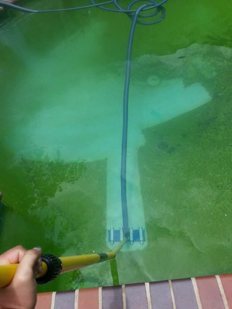 Photo of Seahorse Pool Cleaning