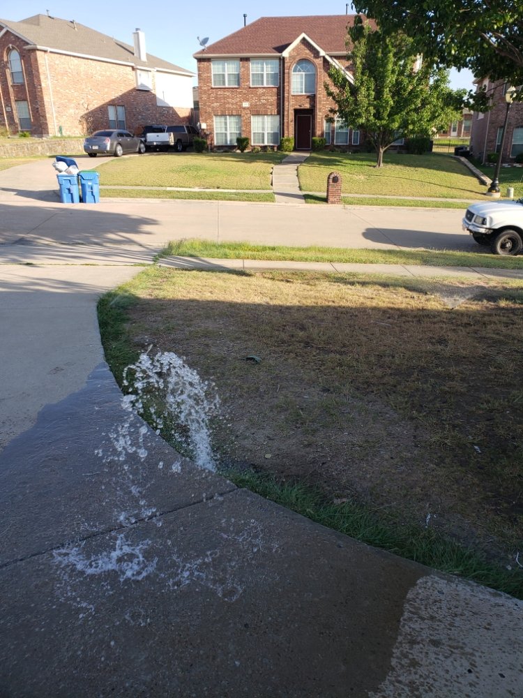 Photo of The Lawn Pros