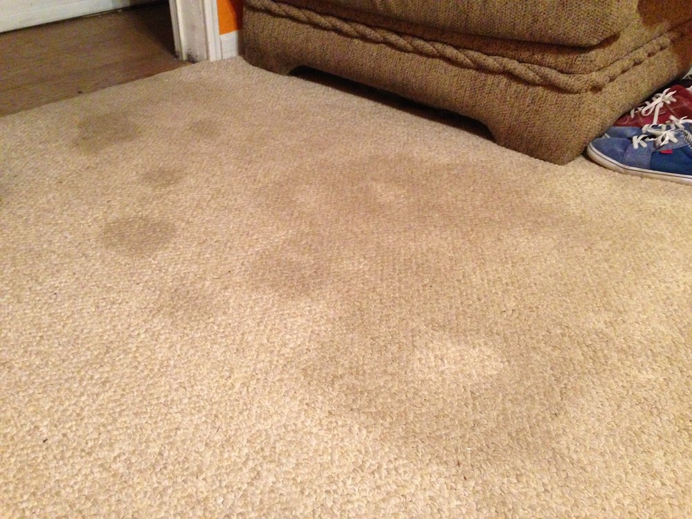 Photo of Gateway Carpet Care