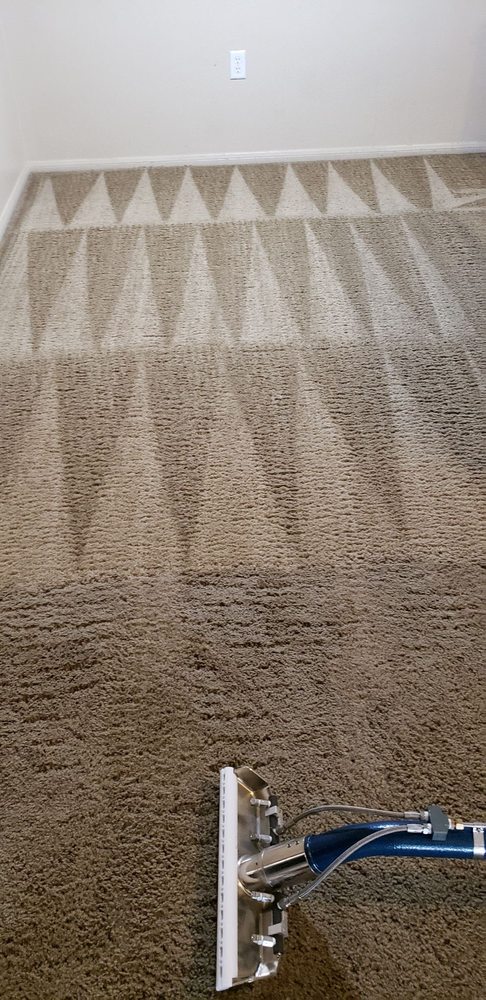 Photo of Carpet Pro