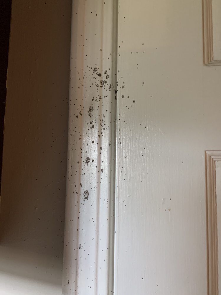 Photo of Mark Allen Plumbing & Heating