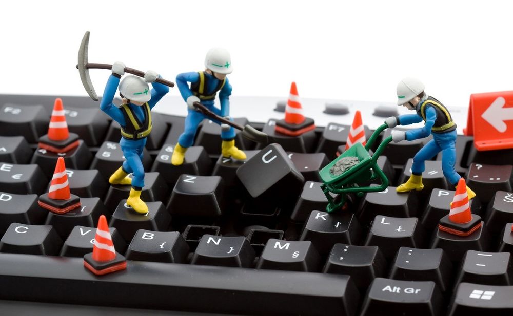 Photo of Cat Computers