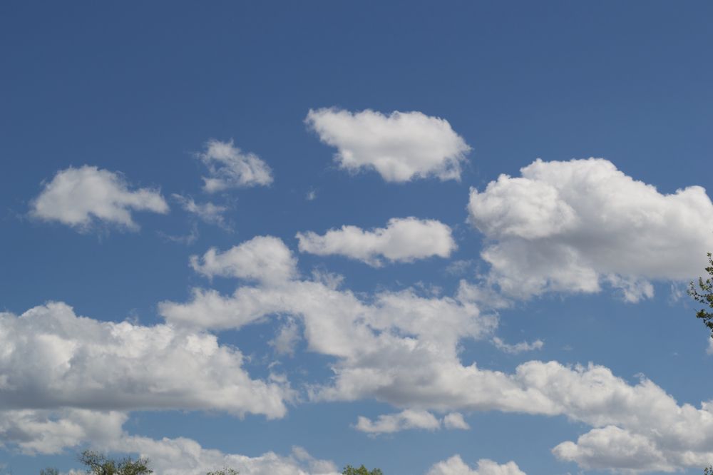 Photo of Indigo Skies