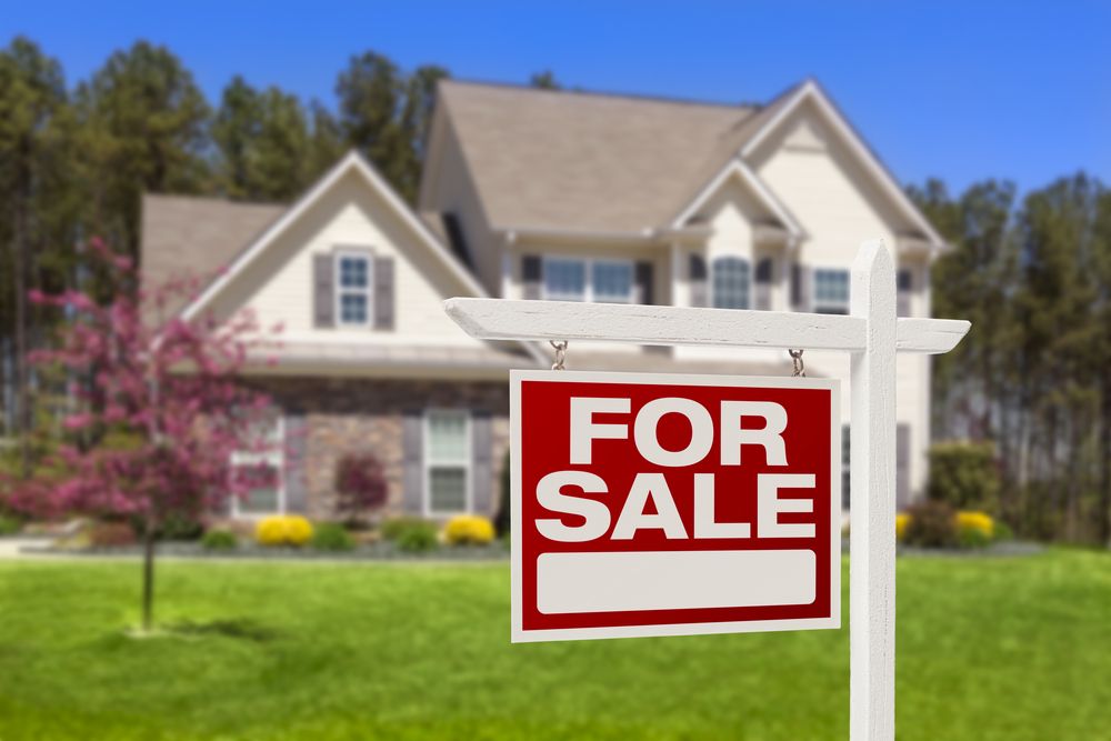 Photo of Lana Cole Realty