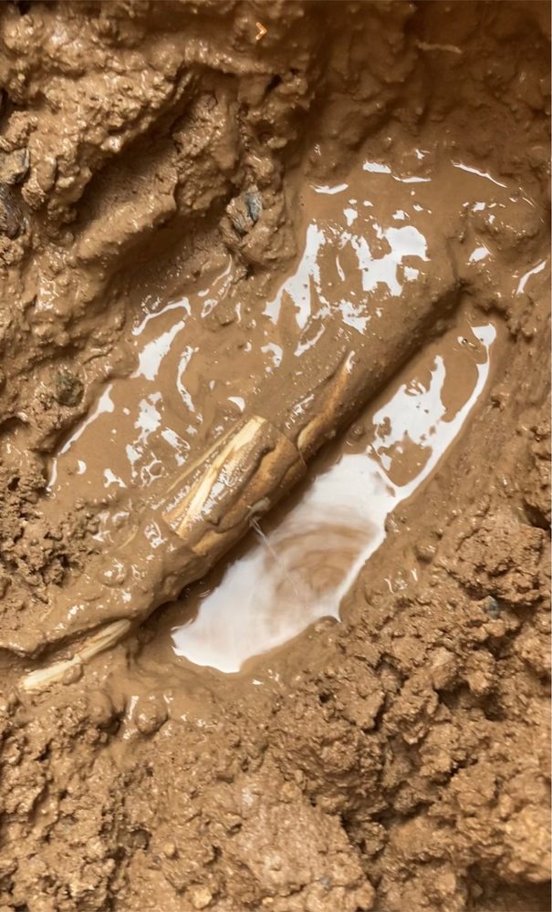 Photo of Slade's Plumbing AZ