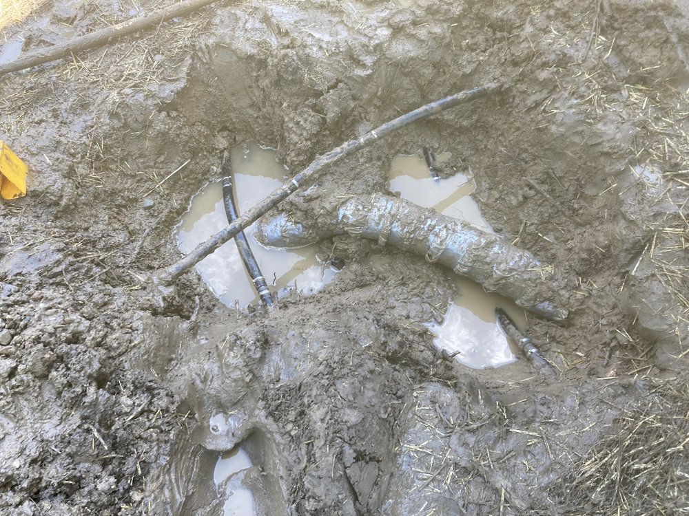 Photo of Everdry Waterproofing of S.E. Michigan