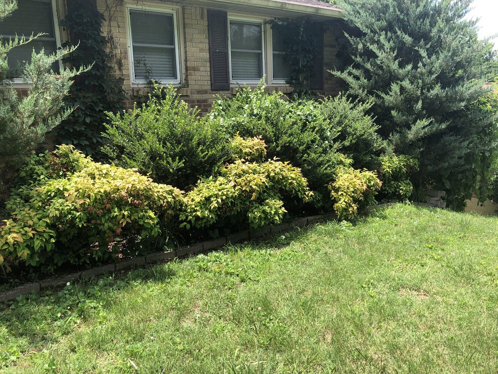 Photo of Westbrook Tree Service and Landscaping