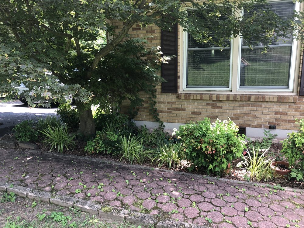 Photo of Westbrook Tree Service and Landscaping