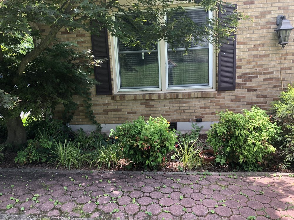 Photo of Westbrook Tree Service and Landscaping