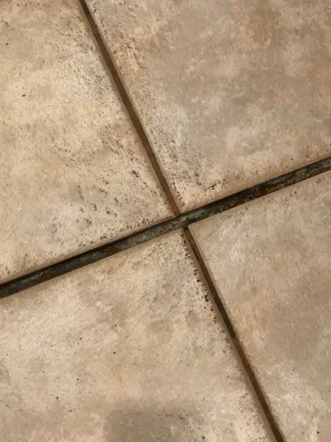 Photo of The Grout Doctor Mesa/Apache Junction