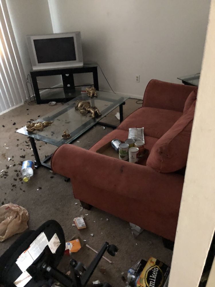 Photo of Steri-Clean Utah