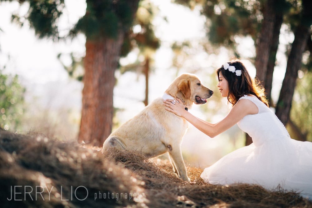 Photo of Jerry Lio Photography