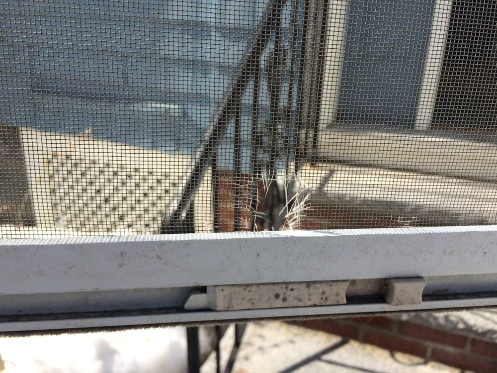 Photo of Victory Plus+ Windows Cleaning, Repair, and Home Services