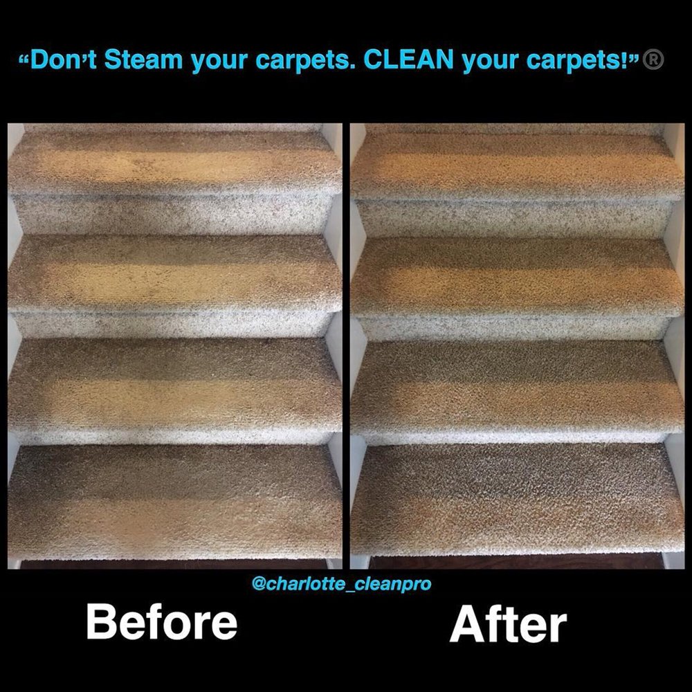 Photo of Charlotte Cleanpro