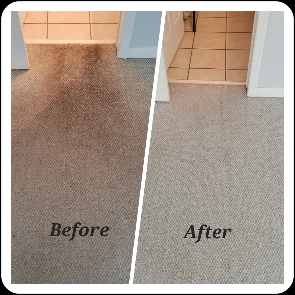 Photo of Rumsey's Carpet Care