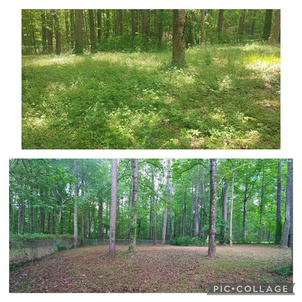 Photo of Your Yard Guy