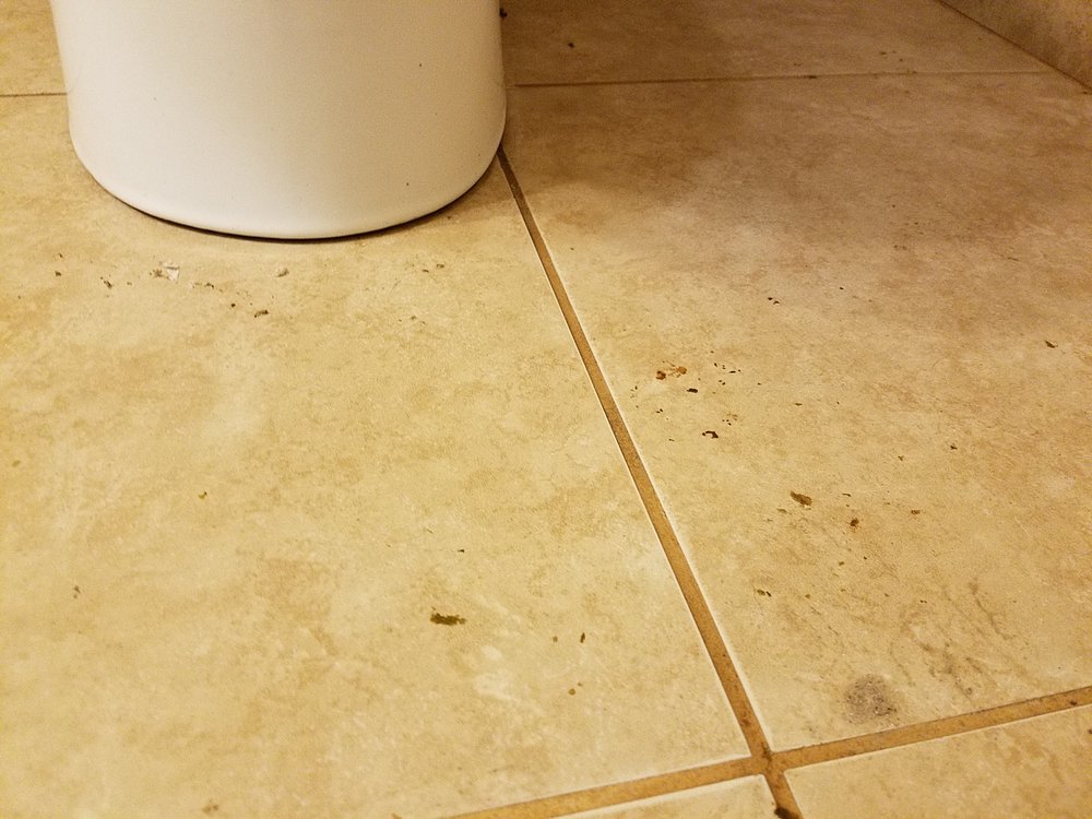 Photo of All Green Carpet Clean