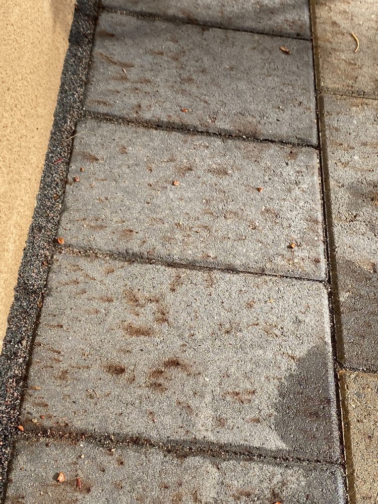 Photo of Brasmerica Paver systems