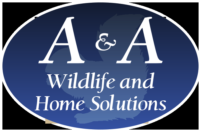 Photo of A & A Wildlife and Home Solutions