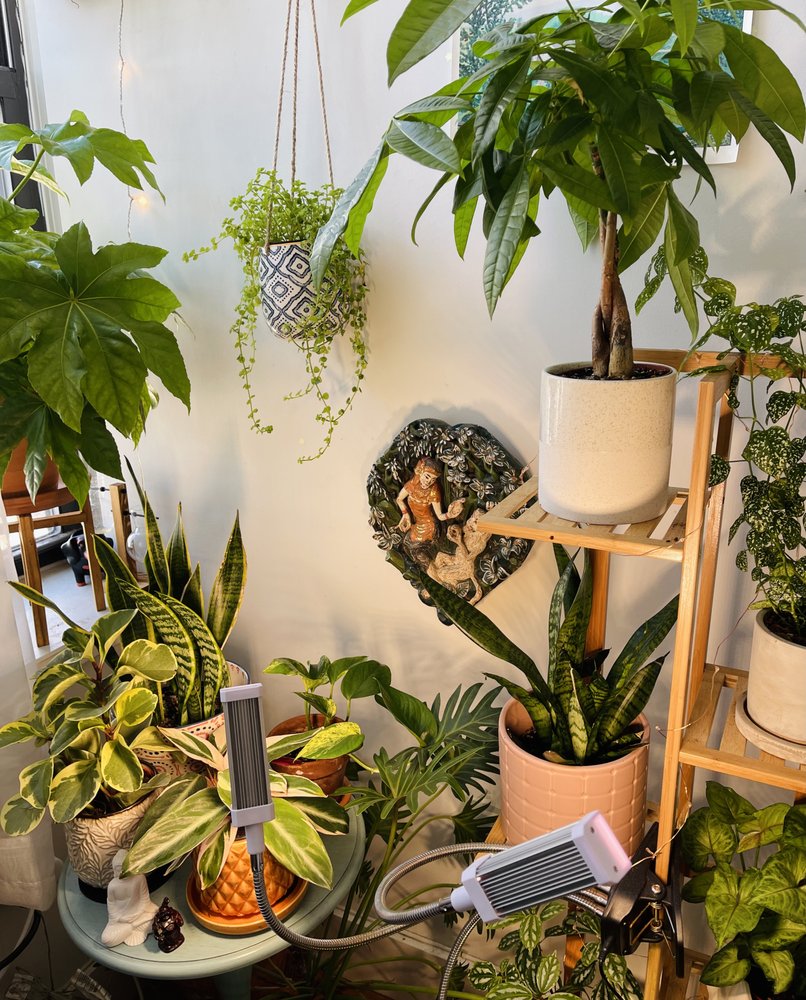 Photo of Kings County Nurseries