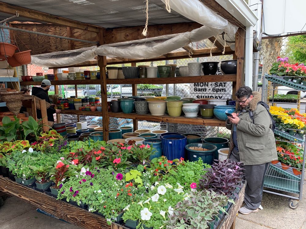 Photo of Kings County Nurseries