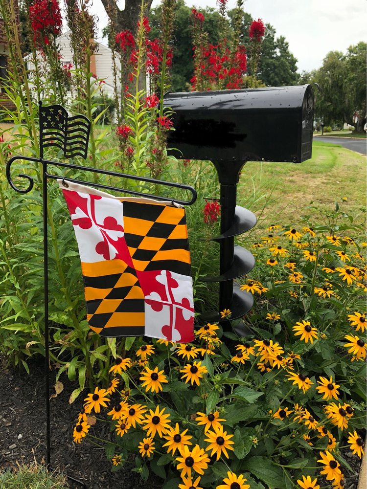 Photo of Silver Spring Landscaping