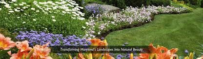 Photo of Silver Spring Landscaping