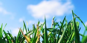 Photo of Clean Air Lawn Care