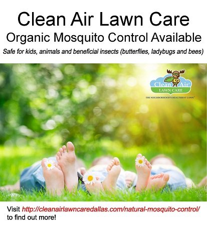 Photo of Clean Air Lawn Care