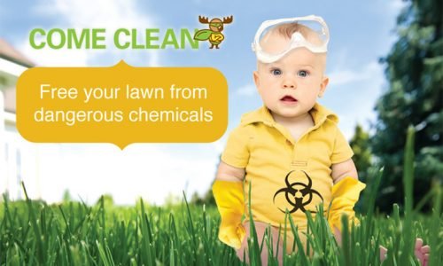 Photo of Clean Air Lawn Care