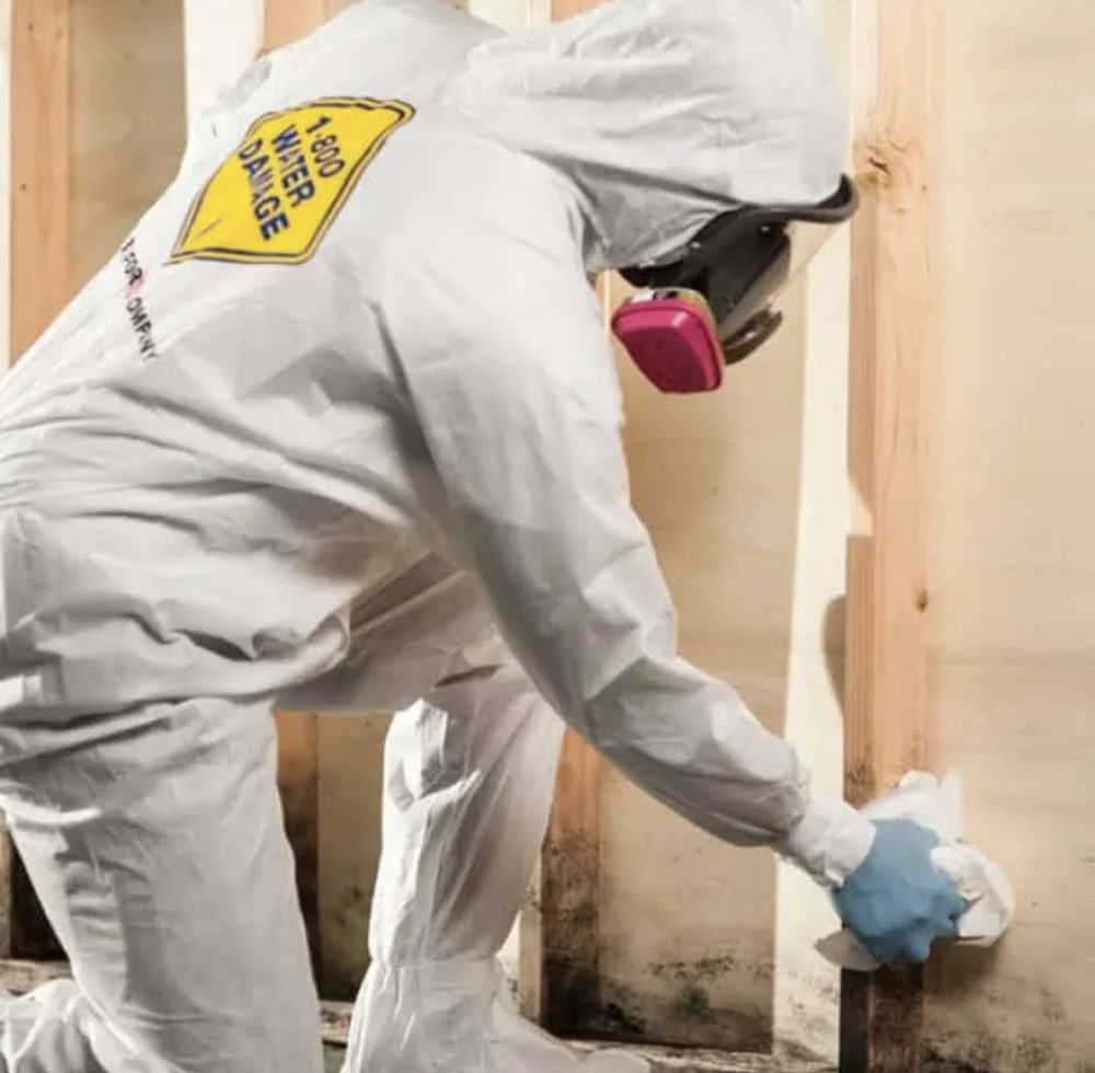 Photo of 1-800 Water Damage of SE Las Vegas and Henderson